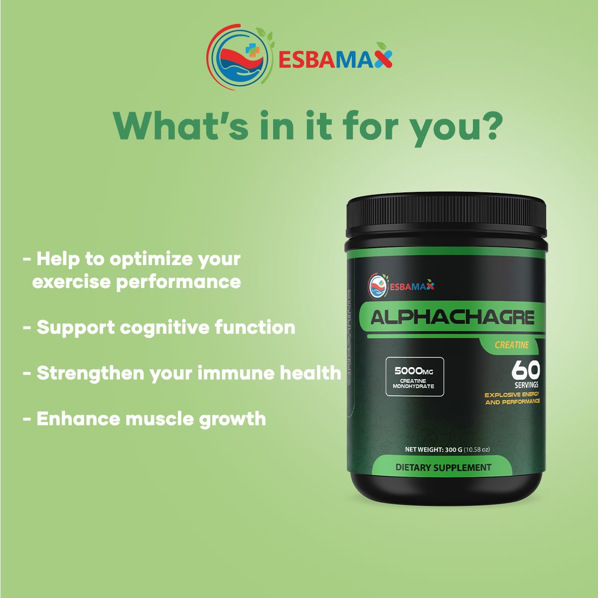 Creatine Powder